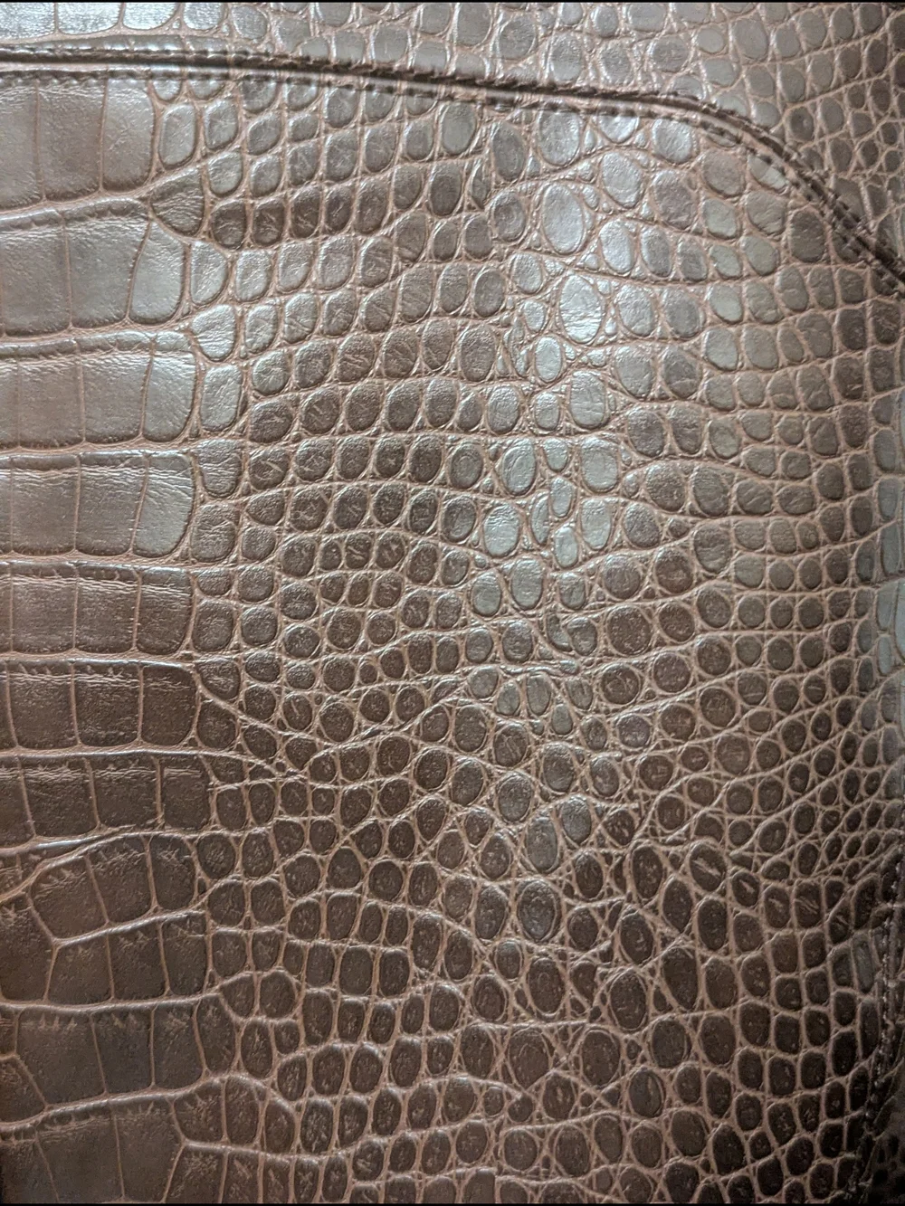 Gibson Dark Brown Croc-Embossed Over-the-Knee Stiletto Boots